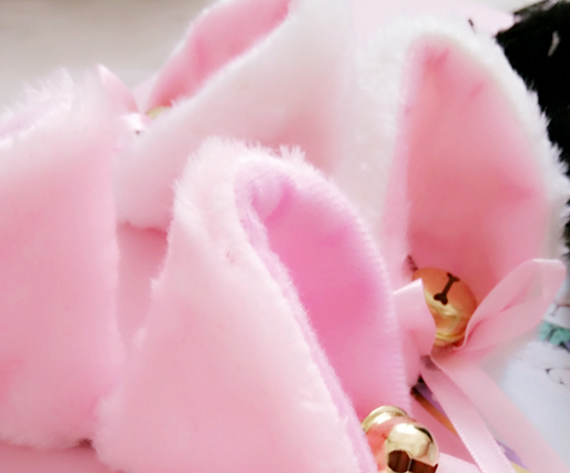 Cat Ear Hair Clips SE7987