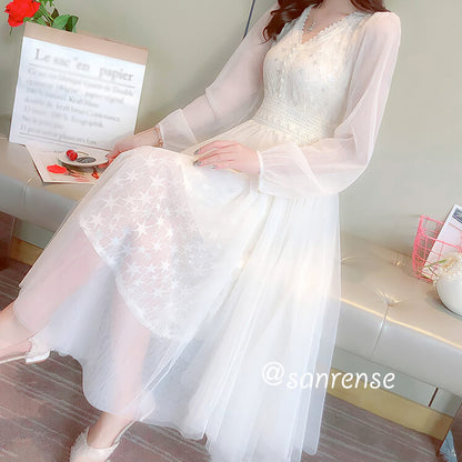 Lace Flower Mesh Dress SE20946